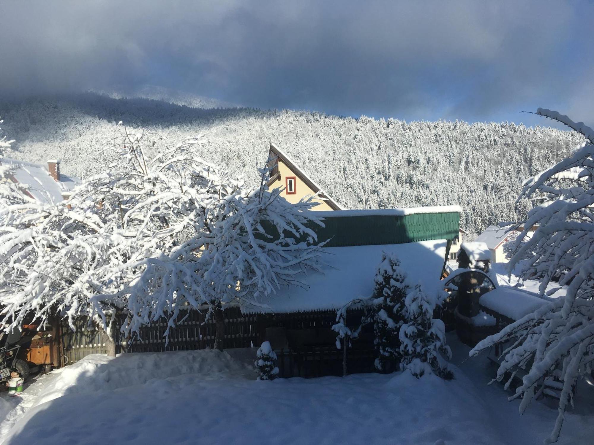 Pensiunea Panorama BaileTusnad Exteriör bild